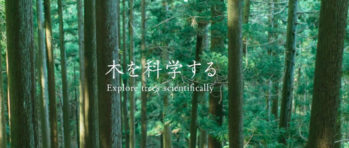 SDGs領域で経営企画を募集｜木を通した地方創生を担いませんか？