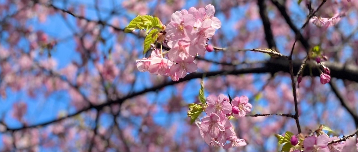 コミュニケーション能力で人の良さを開花させ、自分も共に成長したい方募集！