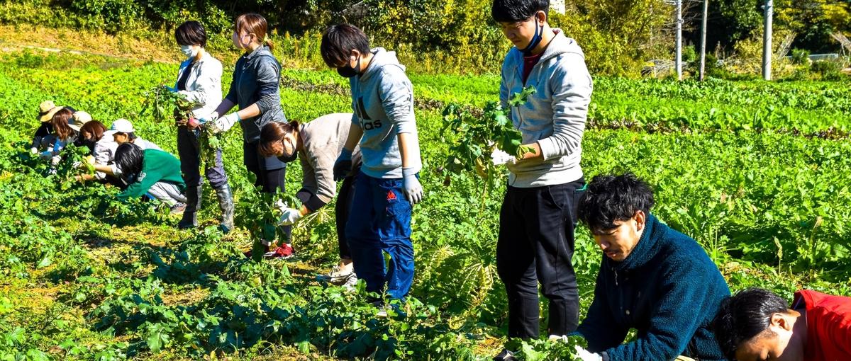 26新卒｜生産者と消費者をつなぐ。農業系食ベンチャーで一緒に働きましょう！