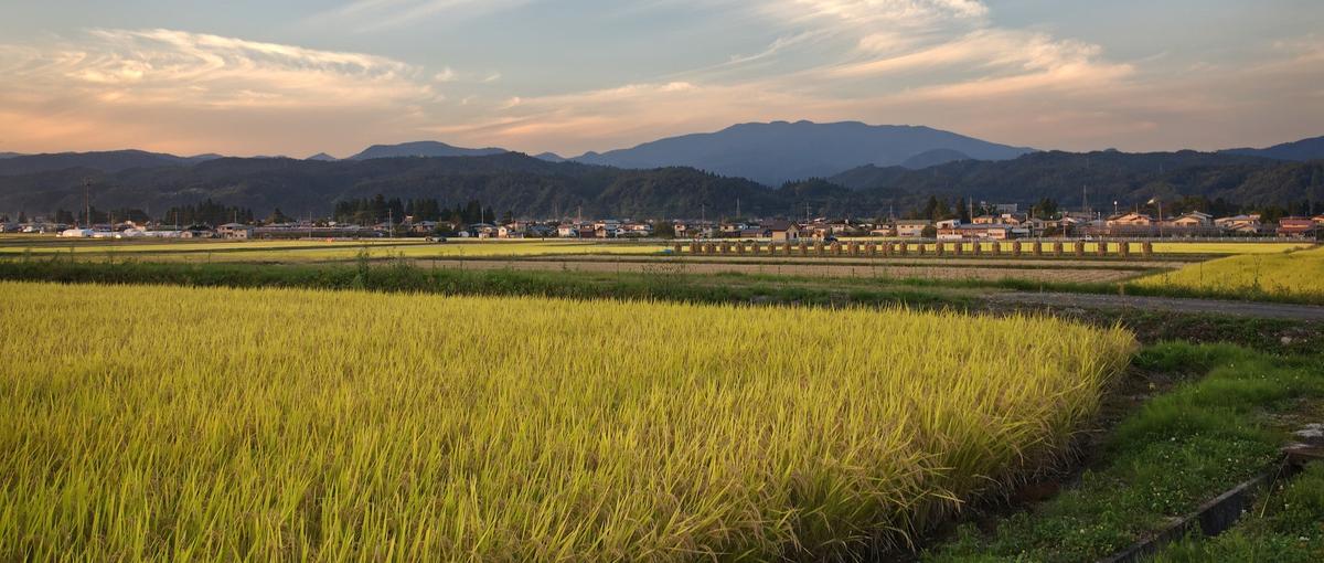 IT×地域活性で、東北を盛り上げる。自分を変えたい！と思っている人、求む！
