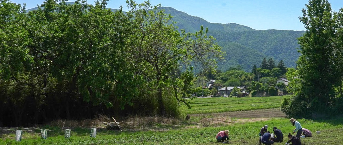 都市部と地方都市をつなぐ、畑プロジェクトの商品開発メンバー募集！