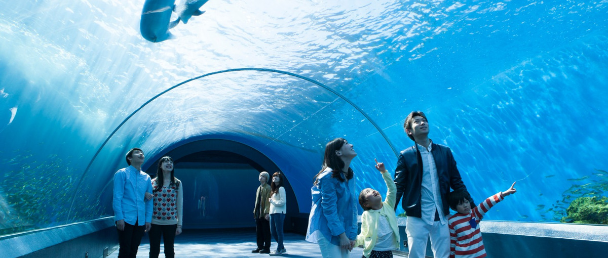 バイヤー／レジャー施設や体験事業者の販促課題を解決するコンサルティング営業