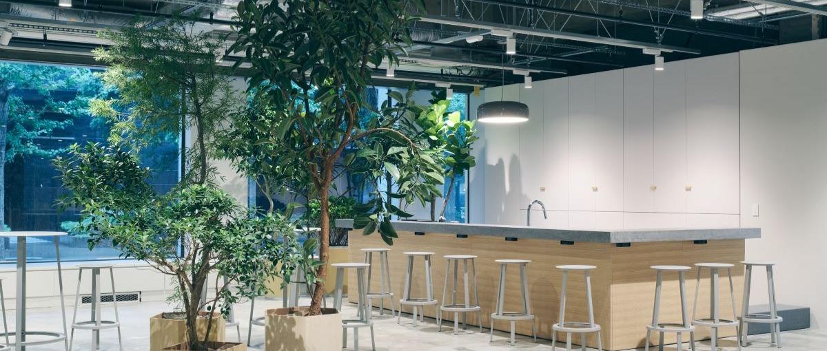 HAYのコントラクト新市場を開拓。B2Bの法人営業を募集します。