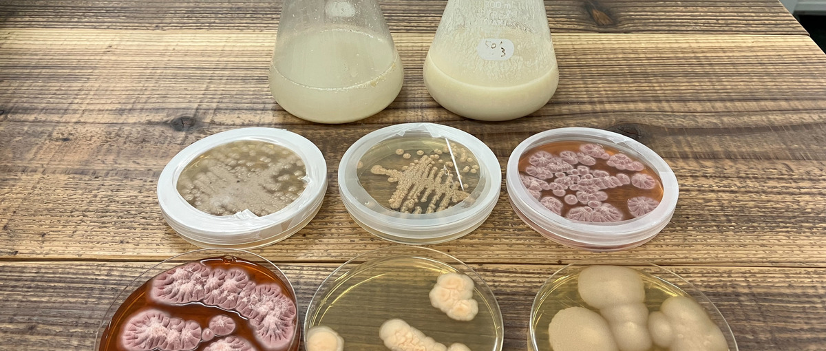 バイオ素材の分析研究：分析・評価・品質保証業務の立ち上げをリード！