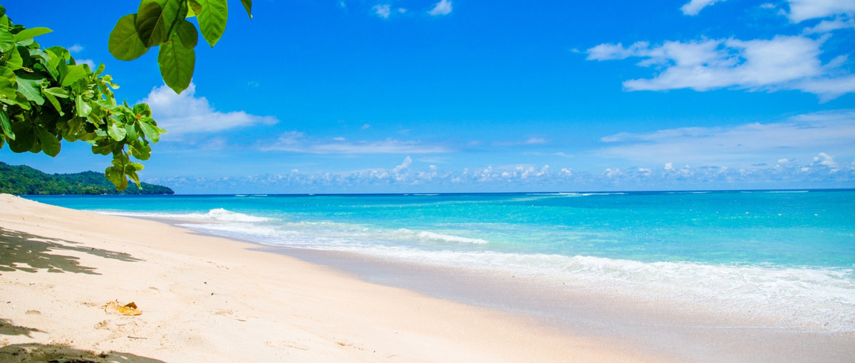 新規プロジェクト：食×地方創生のプロジェクトリーダー