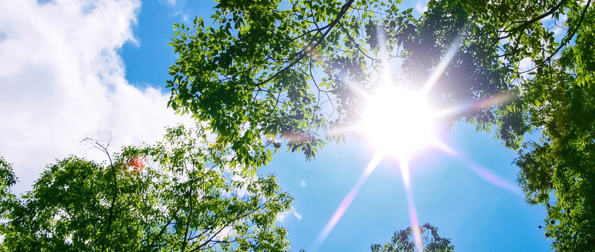 ゼロからのインフラエンジニア～成長環境に身を置きたい方Wanted！