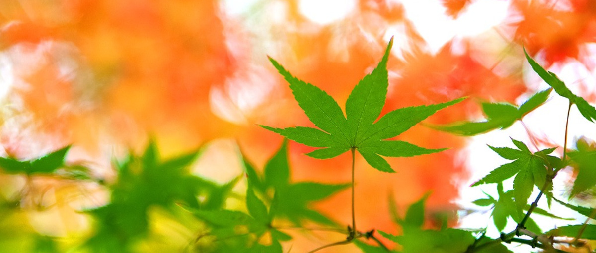 岡山勤務／技術力×人間力を磨きませんか？インフラエンジニアを目指す方募集