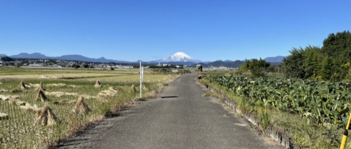 岡山勤務／一から勉強して活躍できる！インフラエンジニアを目指したい方募集