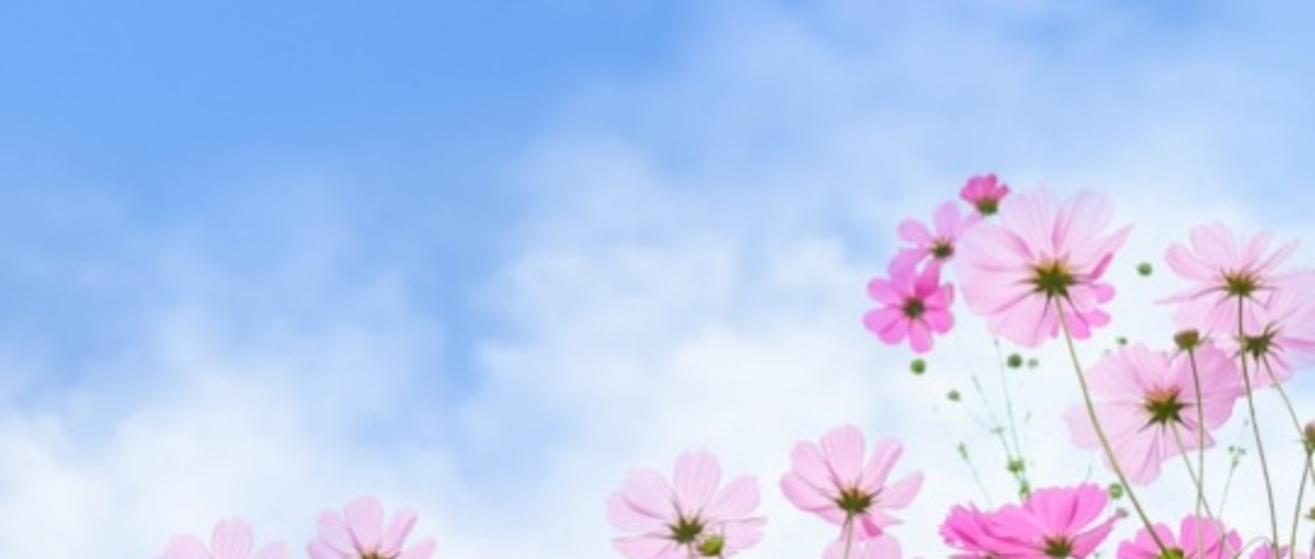 平均27歳！若手活躍中の組織でエンジニアとして技術力×人間力を高めませんか