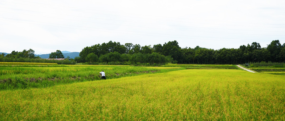 都会の喧騒から解放され、自然と共に働く喜びを感じてみませんか？