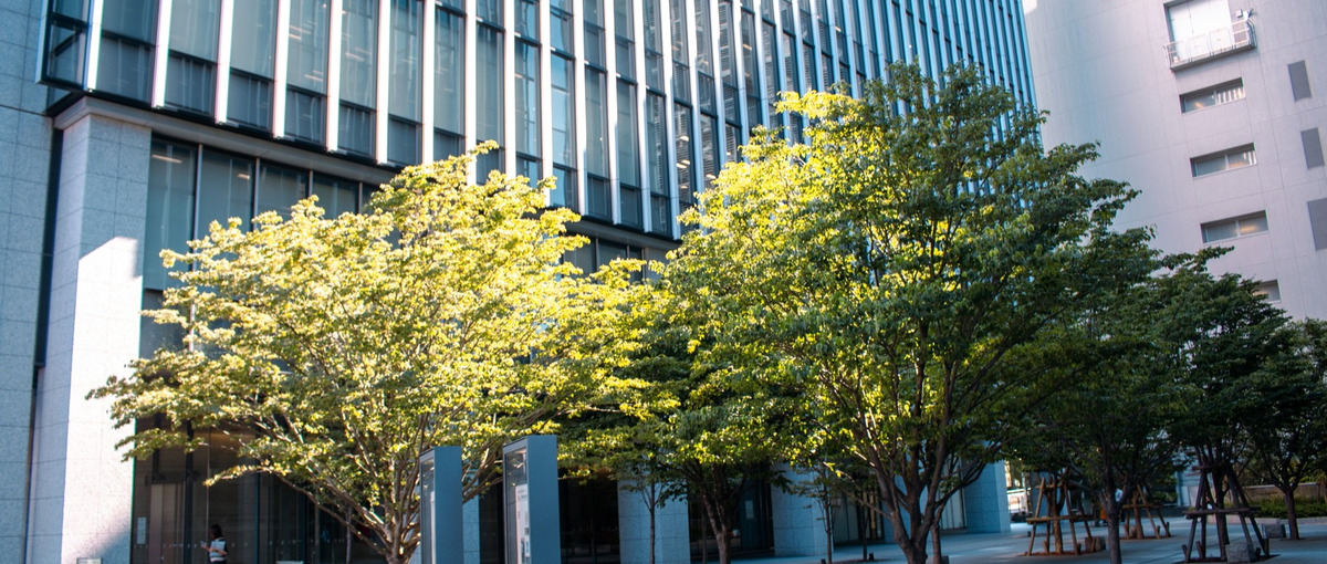 個性×常識が融合するインディゲーム開発！バックオフィス事務経理！