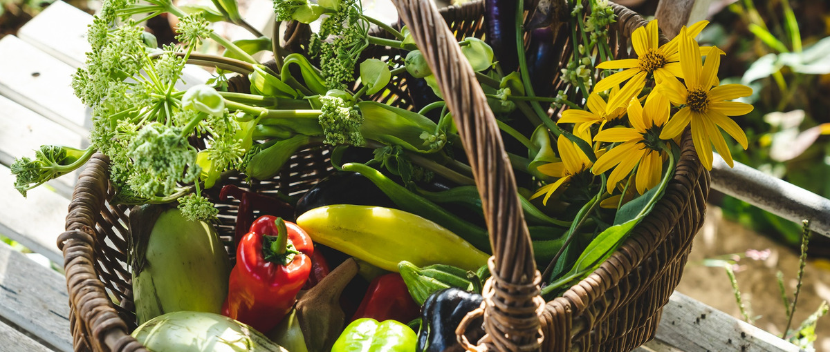 第二新卒歓迎。宿泊施設での企画を通じて、地方創生にチャレンジしてみませんか