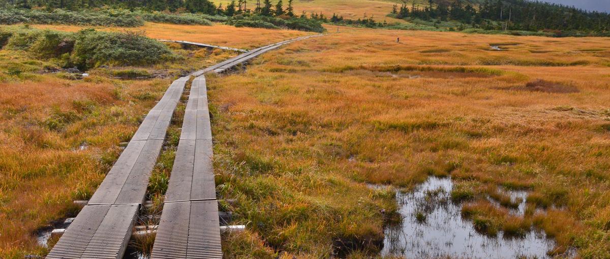 新卒・第2新卒歓迎！物流IT企業で地方創生に挑戦しませんか？