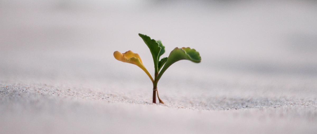 スキルよりポテンシャル重視。チャレンジ精神のある方大歓迎！