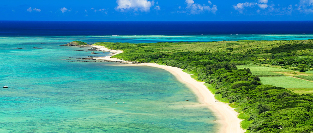 石垣島でもお米の栽培ができちゃう！？食卓と地域に活力を与える立役者募集！