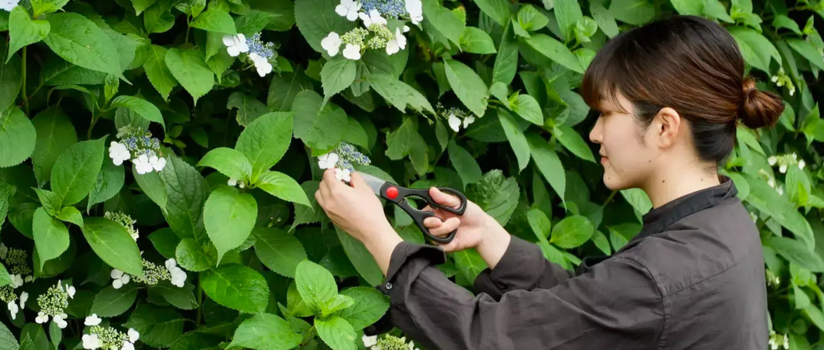  島の旬を届ける。離島レストラン専属の広報＆運営スタッフを募集＠海士町