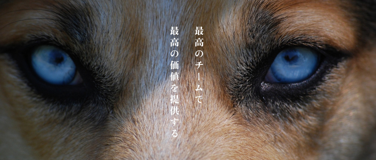 Nuxt.jsやVue.jsを使用or興味があるエンジニア募集中！