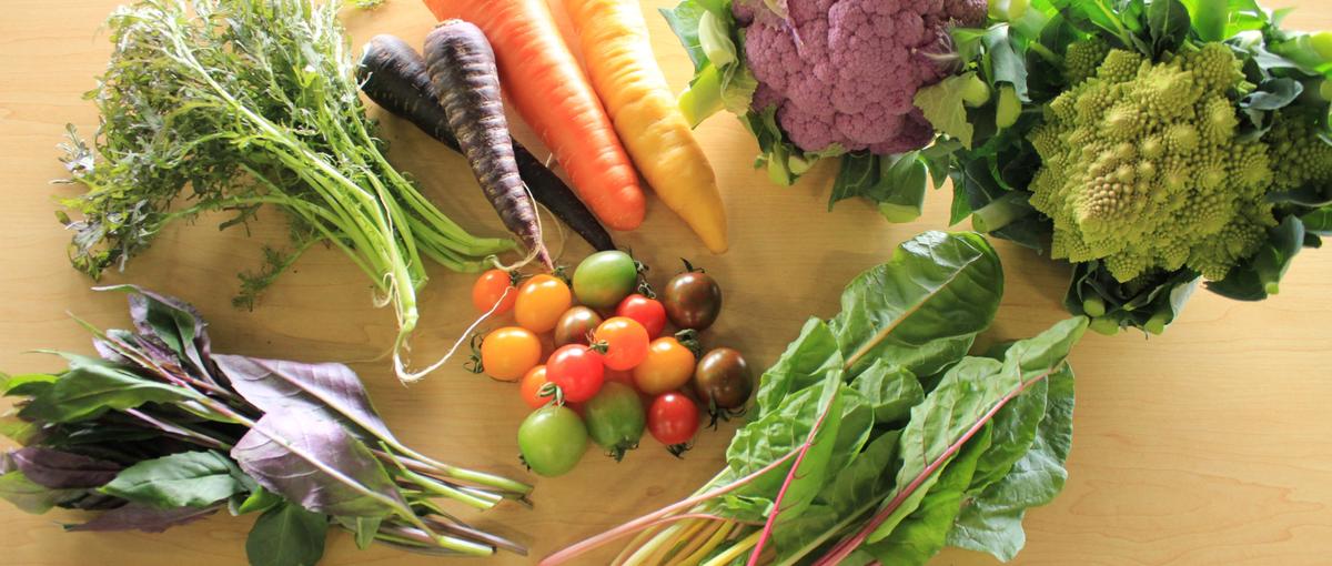 IPO準備を支える！挑戦できる法務担当者募集！