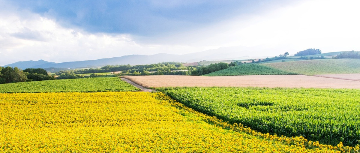 UIターン大歓迎！バックエンドの開発を極めたいエンジニア募集！