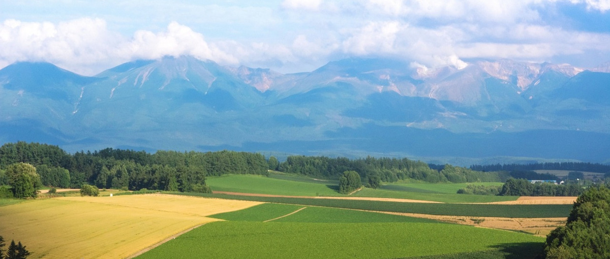 心機一転 | 大自然北海道で働いてみるのはいかがですか？