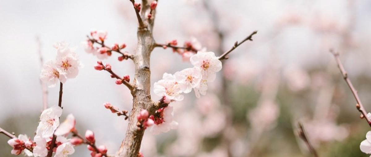 今がチャンス！異業種からの転職サポート│経験なしからエンジニアを目指す