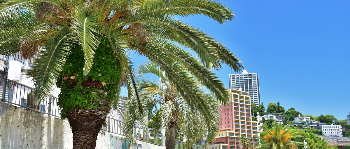 観光地でワクワクしながら働きませんか？熱海ホテルの運営スタッフを募集！