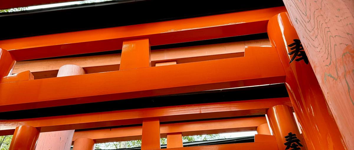 27卒|0からスタートでもOK！ITの力で観光業を共に盛り上げませんか？