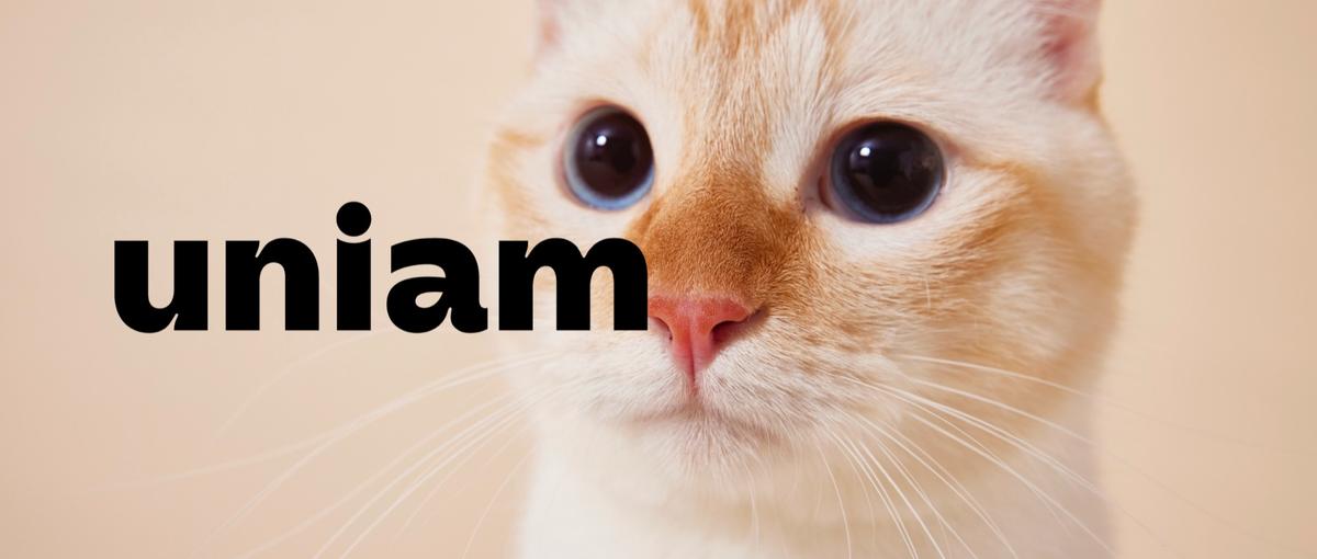 一人目メンバー募集！ねこ好きなカスタマーサポート募集！