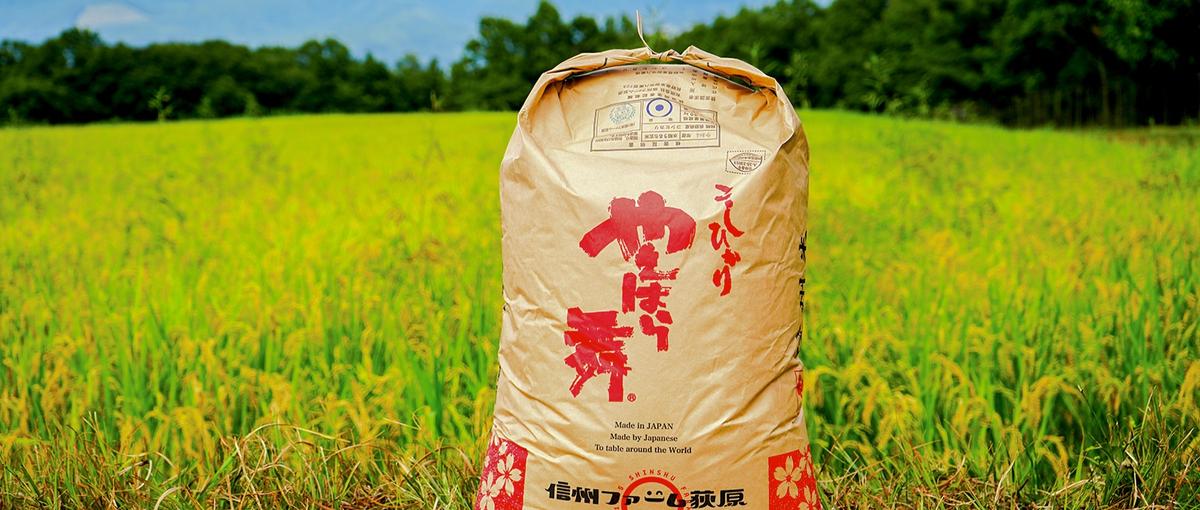 人柄採用｜好奇心旺盛なファームからたくさんの人に美味しいをお届けしよう！