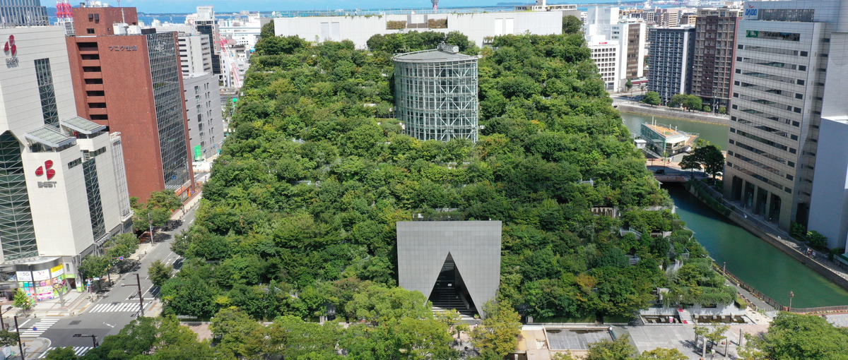 福岡天神すぐそば|DX化をサポートするSalesforceエンジニアを募集