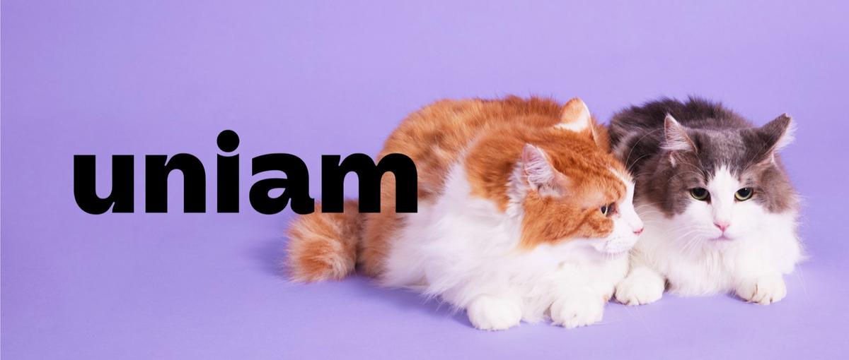 創業メンバー｜成長環境に身を置きたいD2CのWebマーケティング募集！