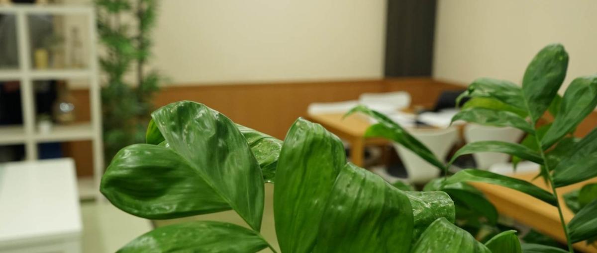  エンジニア募集！児童福祉に関する社内開発