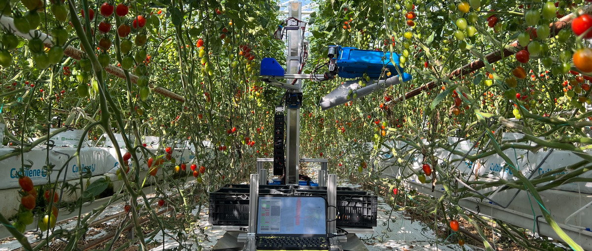 AI×ロボットで農業の未来を変えるロボットエンジニア