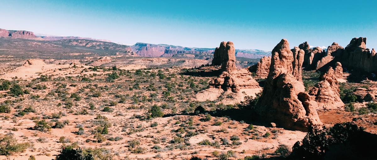 フロントエンジニアになりたい方！ENGEIで一緒に働きましょう！