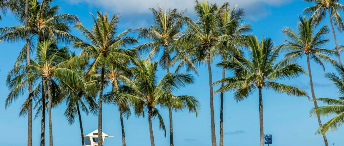 食に関する商品のPRスタッフ募集