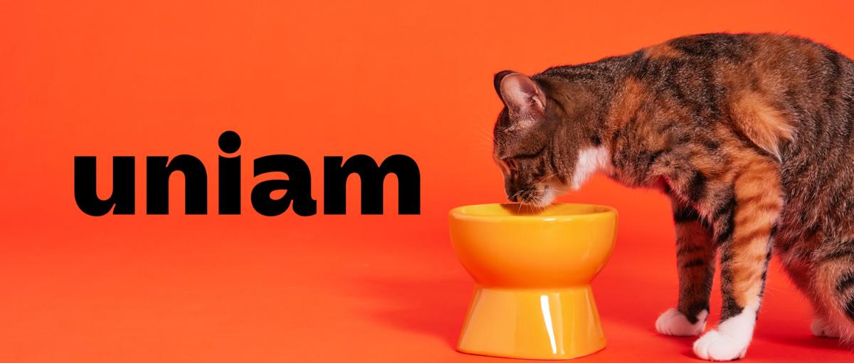 ねこ専門SNSマーケティング！ねこを愛する学生インターン募集！