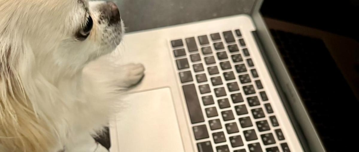 経験ゼロでもじっくり8ヶ月研修でWebエンジニアになれる！福岡ならL＆S！