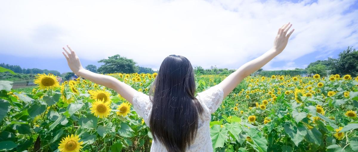 目指すは開発エンジニア🔥充実した研修制度🐧