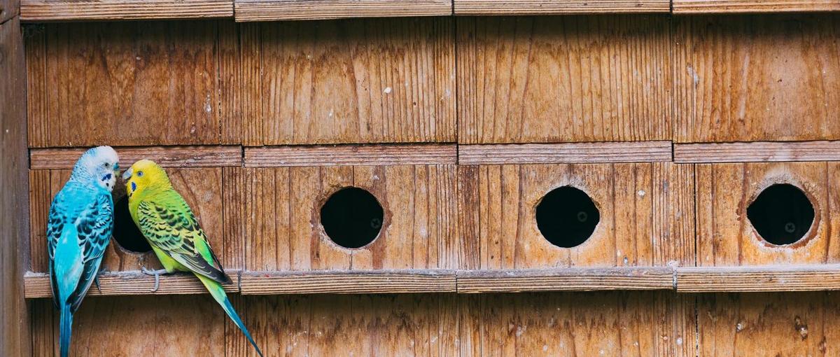 経理初めてでも歓迎！実務経験を積みたい方求む🧚‍♀️