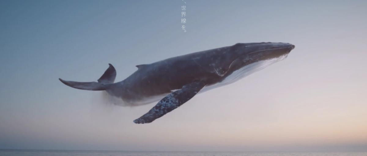 27卒募集｜クリエイター・SNS総再生回数3億回・他社コンサル実績多数