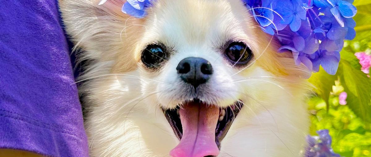 裁量×成長。一緒に自社サービスで未来を変えませんか♫