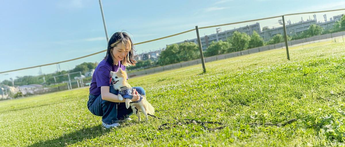 React×わんこ＝ワクワク倍増！ペットメディア開発メンバー募集！！