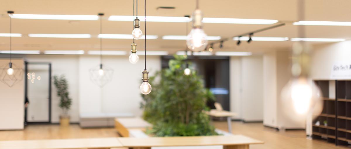 人材開発コンサル|行政×人材育成のメソッドを確立し自治体向けの戦略をリード