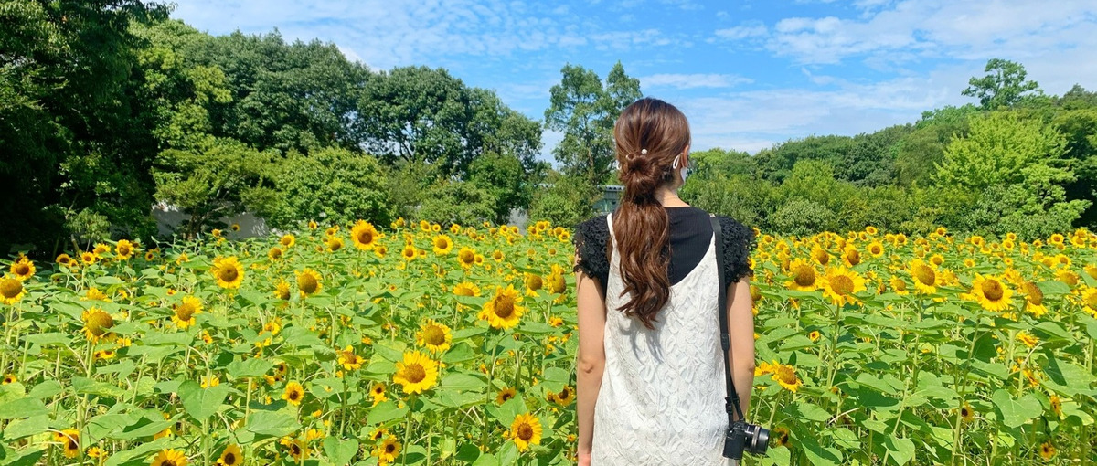 SNSを仕事へ！デザインと動画作成をして新サービスを一緒に広げませんか？