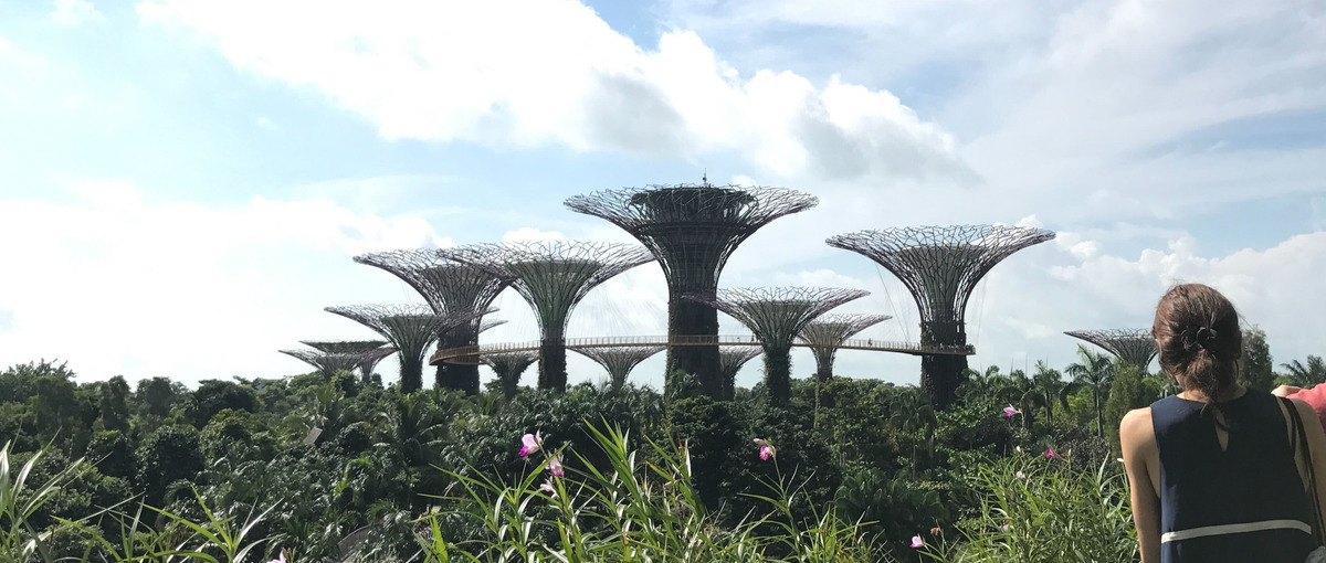 この夏CSにチャレンジ！探究心旺盛なぜなぜ？好きな方を待ってます！