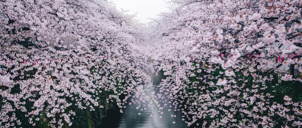 その土地ならではの体験を企画し、旅を、ホテルを魅力的にする企画開発！