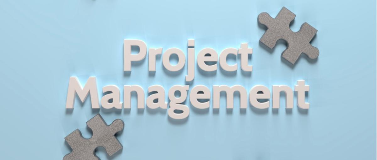 業界トップ企業でPLとして活躍！プロジェクトを次のレベルへ					