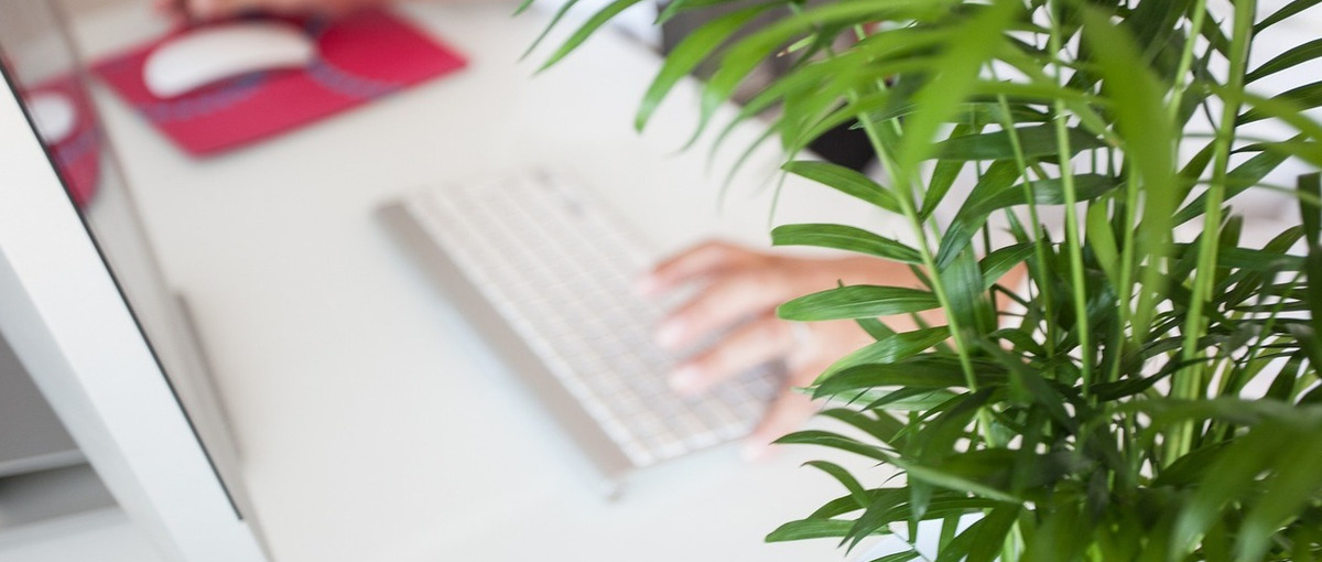 愛媛-松山営業所：上場企業の安定感の中でのソリューション提案で自己成長も！