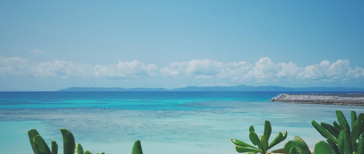 海外営業という新たな職の選択肢を。海外を諦めかけていたあなたへ捧ぐ天職。