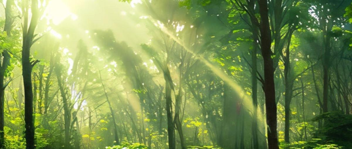 光技術をレンズにのせて世界へ。海外営業職に挑戦したい方を募集！